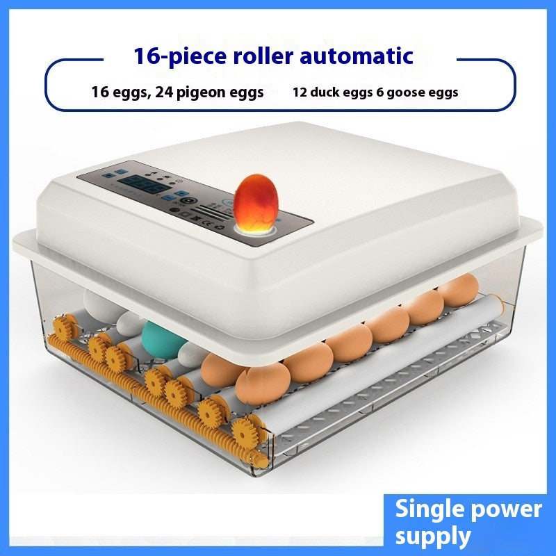 Fully Automatic Home Intelligent Incubator